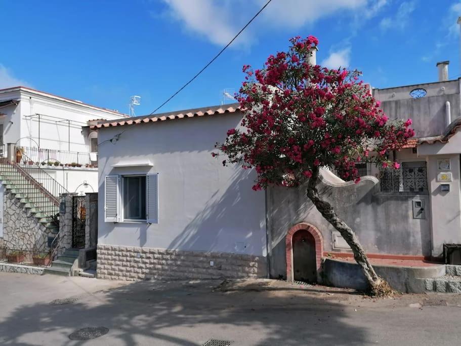 Sweet Home, Anacapri Buitenkant foto
